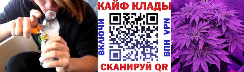 Купить закладку Cocaine  Alpha-PVP  МЕФ  Гашиш  Бошки Шишки  Нюрба
