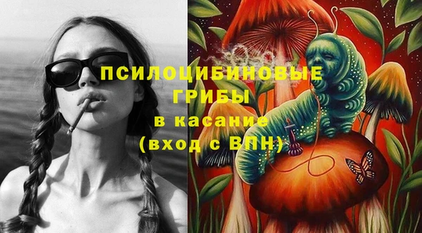 тгк Арсеньев