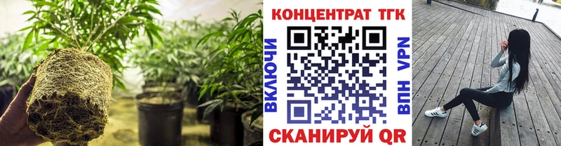 ТГК THC oil  Купить  Нюрба 